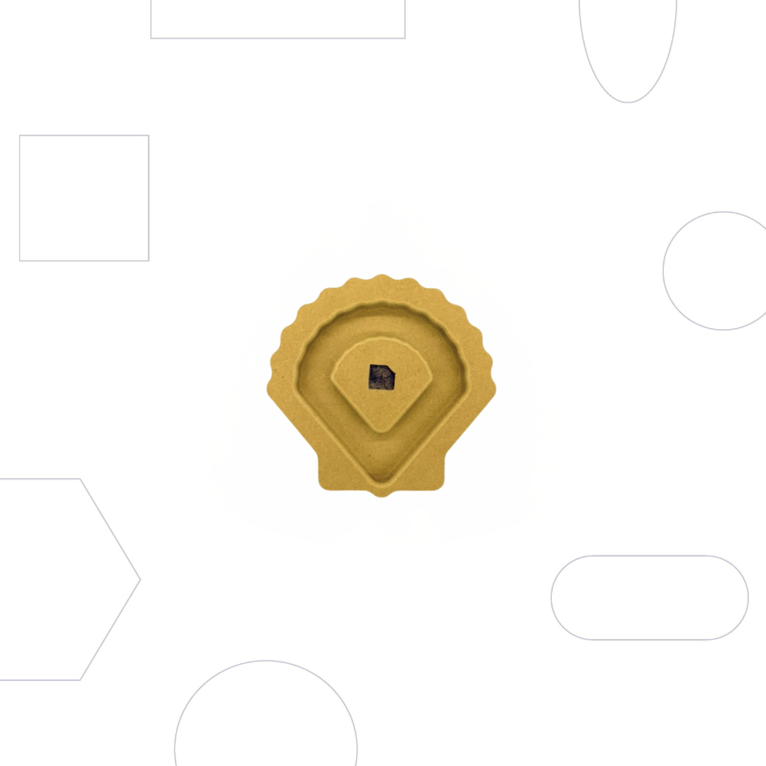 Wallie Scalloped Shell - 4"