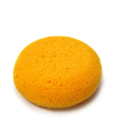 PSH Hydra Sponge